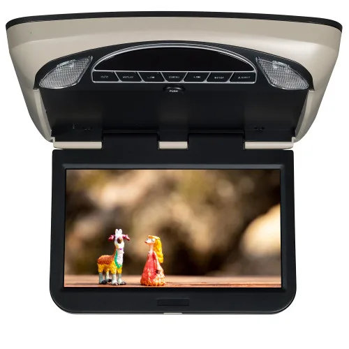 Audiovox MTGBAVX13 Overhead Entertainment System